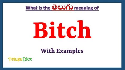 meaning of bitch in telugu|English to Telugu Meaning of bitch .